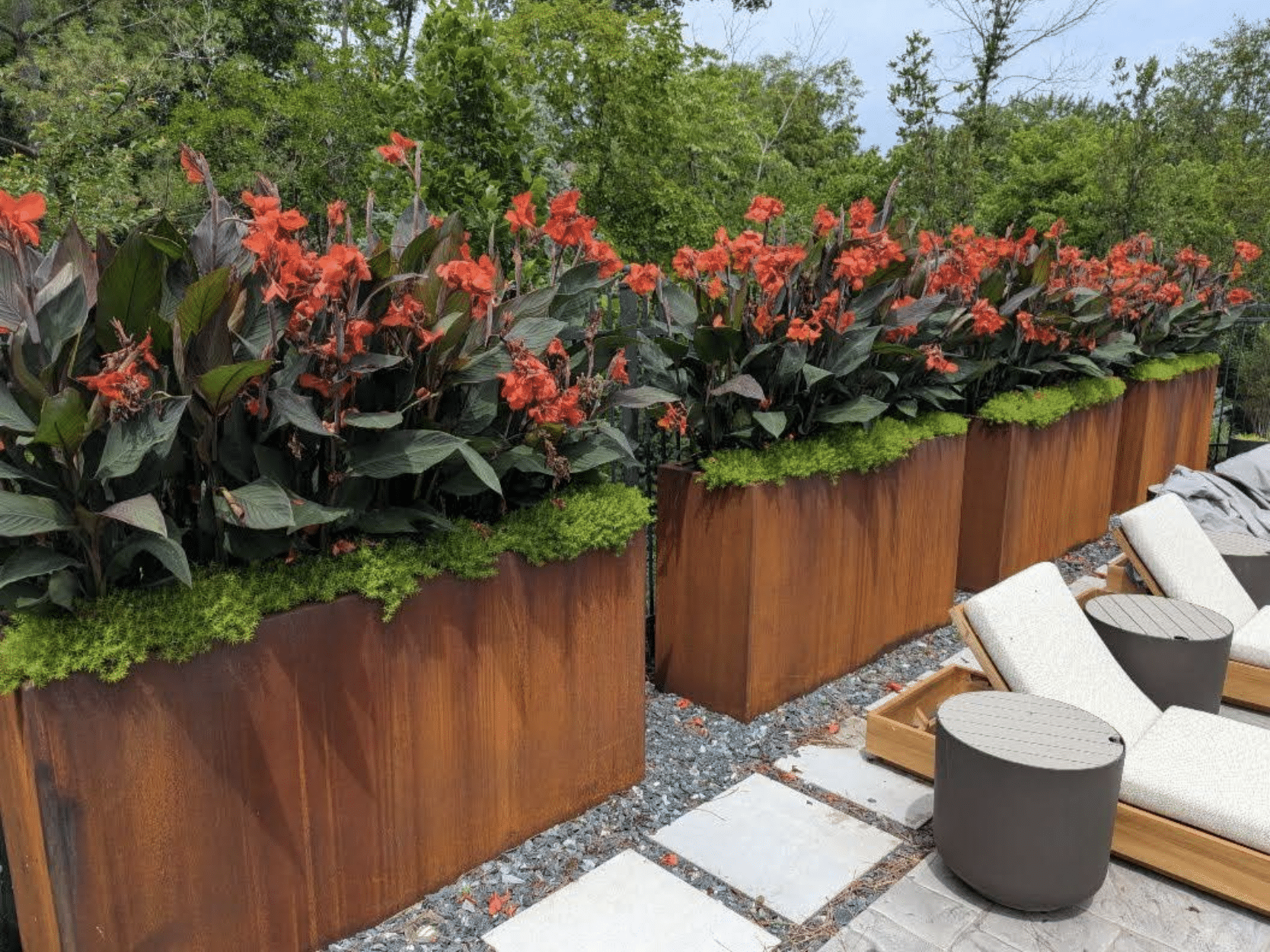 Container garden full of beautiful blooming flowers